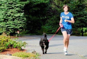 Ideas and Safety Tips to Exercise with Your Dog